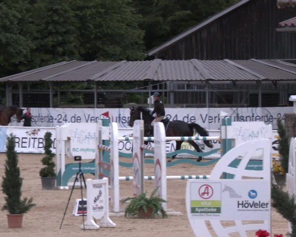 Reitturnier Ranshofen - Braunau am Inn 2024