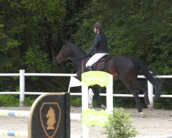 Reitturnier Losheim am See 2024