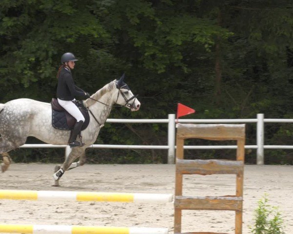 Reitturnier Losheim am See 2024