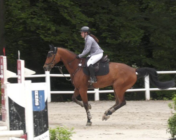 Reitturnier Losheim am See 2024
