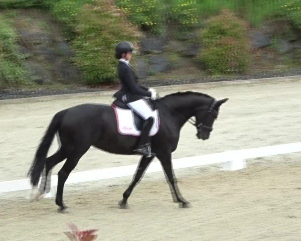FEI Reitturnier St. Margarethen 2024