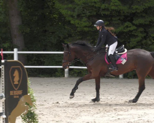 Reitturnier Losheim am See 2024