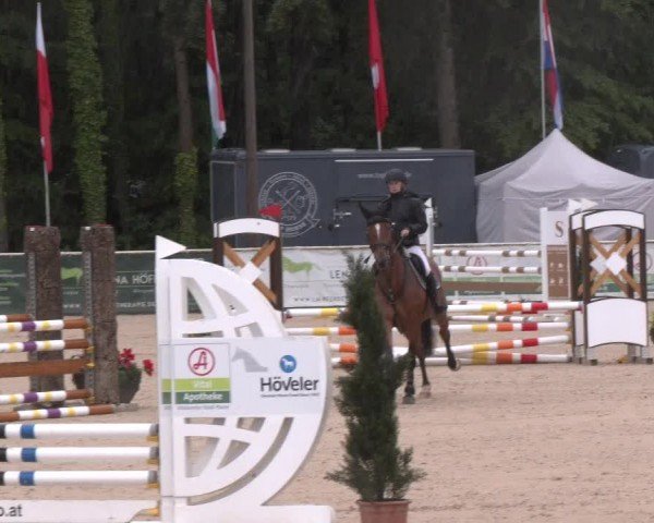 Reitturnier Ranshofen - Braunau am Inn 2024