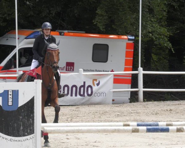 Reitturnier Losheim am See 2024