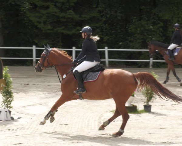 Reitturnier Losheim am See 2024