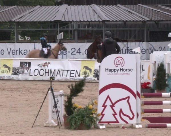 Reitturnier Ranshofen - Braunau am Inn 2024