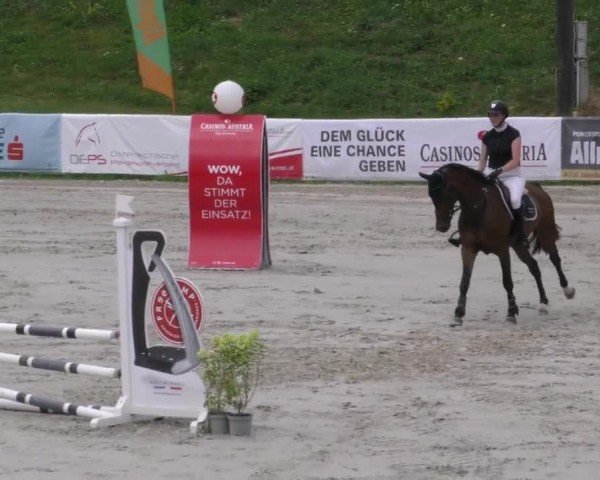Reitturnier Zeltweg-Farrach 2022