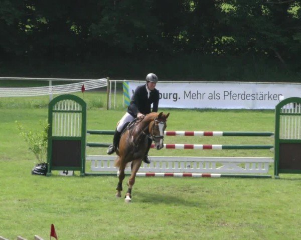Reitturnier Wolfsburger Klassiker 2024