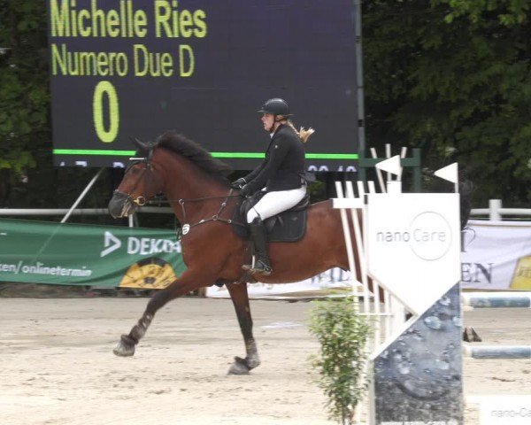 Reitturnier Losheim am See 2024