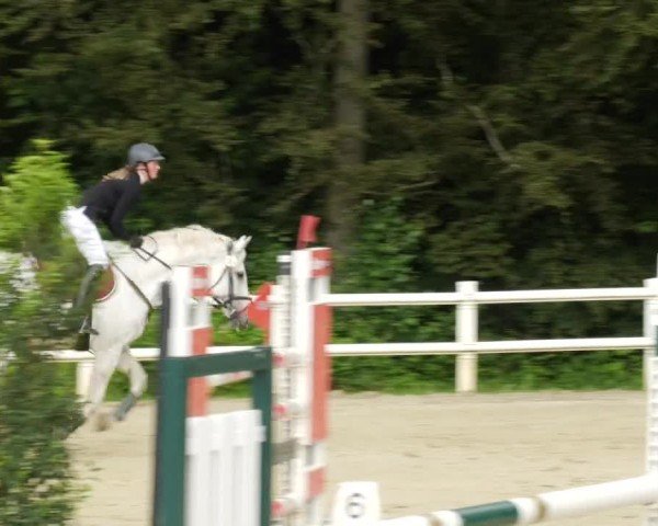 Reitturnier Nordstetten- Horb 2024