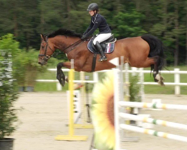 Reitturnier Nordstetten- Horb 2024