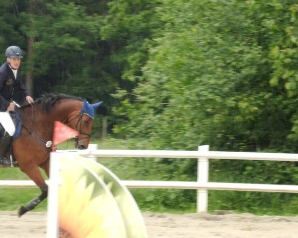 Reitturnier Nordstetten- Horb 2024