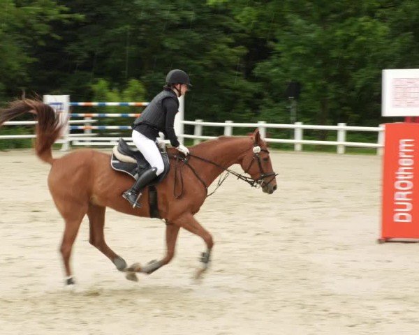 Reitturnier Nordstetten- Horb 2024