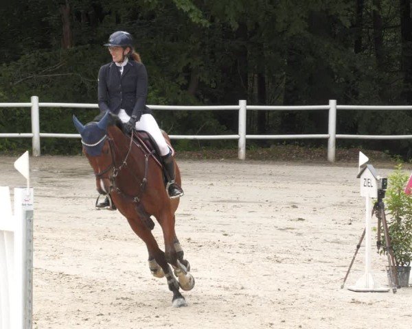 Reitturnier Losheim am See 2024