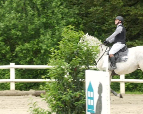 Reitturnier Nordstetten- Horb 2024