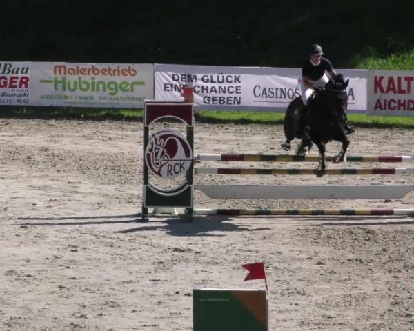 Reitturnier Zeltweg-Farrach 2023