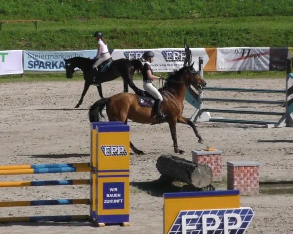 Reitturnier Zeltweg-Farrach 2023