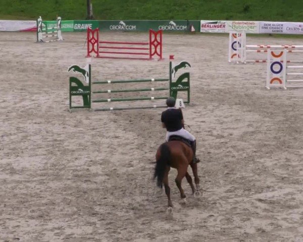 Reitturnier Zeltweg-Farrach 2023