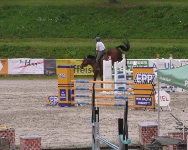 Reitturnier Zeltweg-Farrach 2023