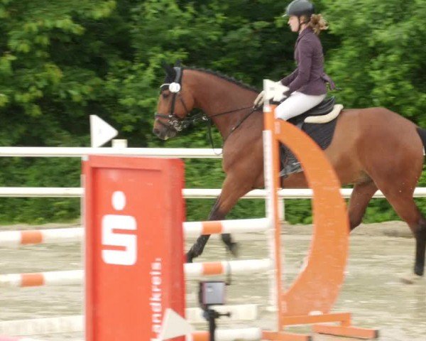 Reitturnier Nordstetten- Horb 2024