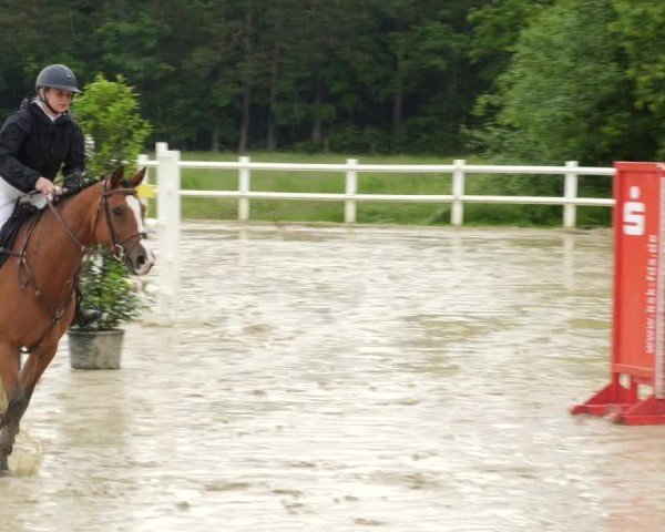 Reitturnier Nordstetten- Horb 2024
