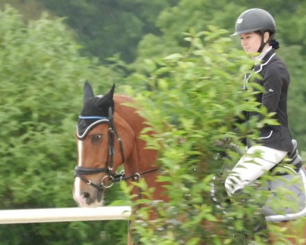 Reitturnier Nordstetten- Horb 2024