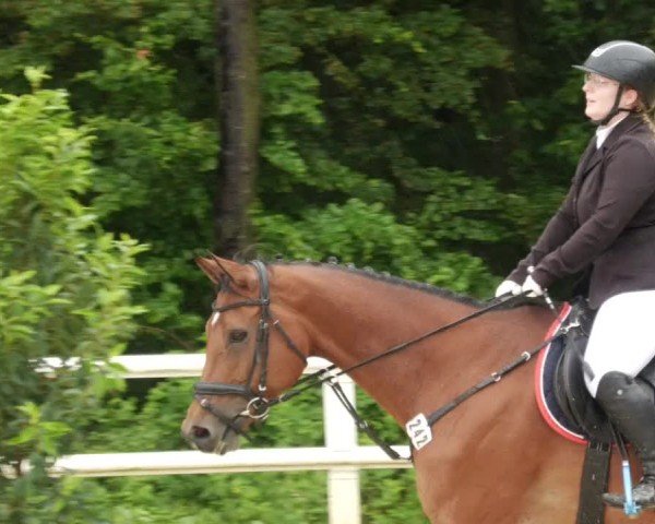 Reitturnier Nordstetten- Horb 2024
