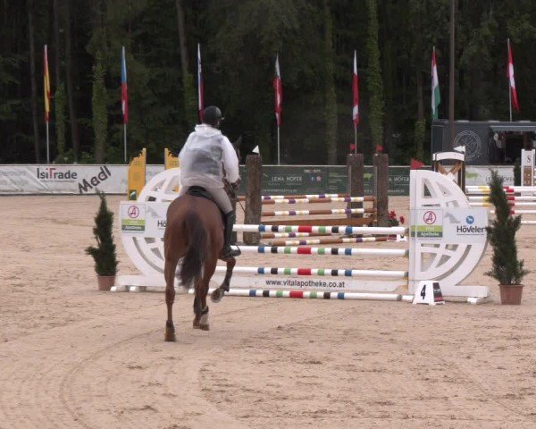 Reitturnier Ranshofen - Braunau am Inn 2024