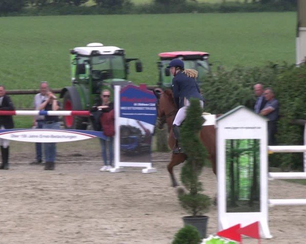 Reitturnier Kirchhellen/Stall Dieckmann 2024