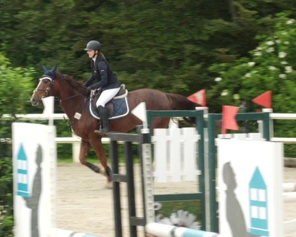 Reitturnier Nordstetten- Horb 2024