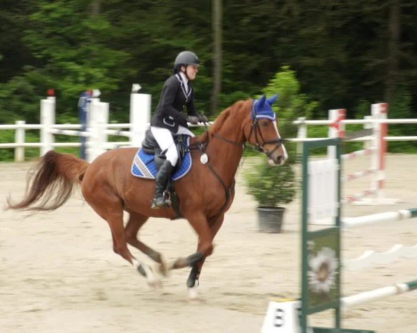 Reitturnier Nordstetten- Horb 2024