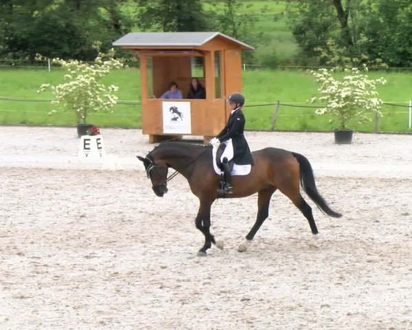 Reitturnier Gossau 2024