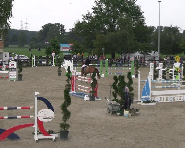 Reitturnier Kirchhellen/Stall Dieckmann 2024