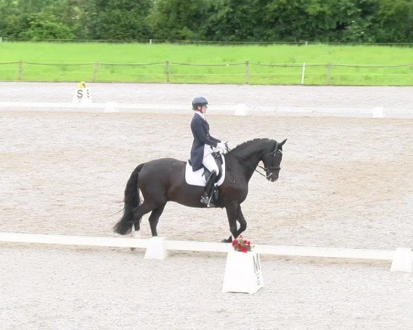 Reitturnier Gossau 2024