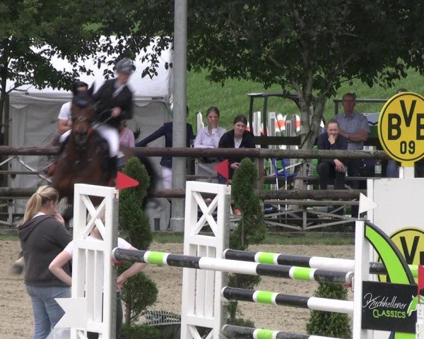 Reitturnier Kirchhellen/Stall Dieckmann 2024
