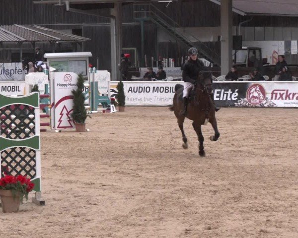 Reitturnier Ranshofen - Braunau am Inn 2024