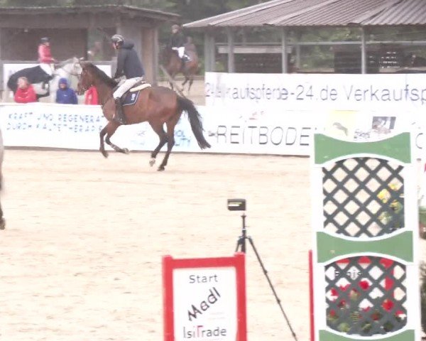 Reitturnier Ranshofen - Braunau am Inn 2024