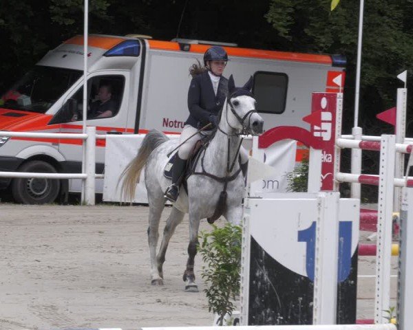 Reitturnier Losheim am See 2024