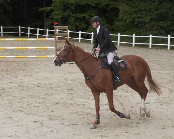 Reitturnier Losheim am See 2024