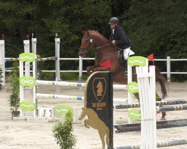 Reitturnier Losheim am See 2024