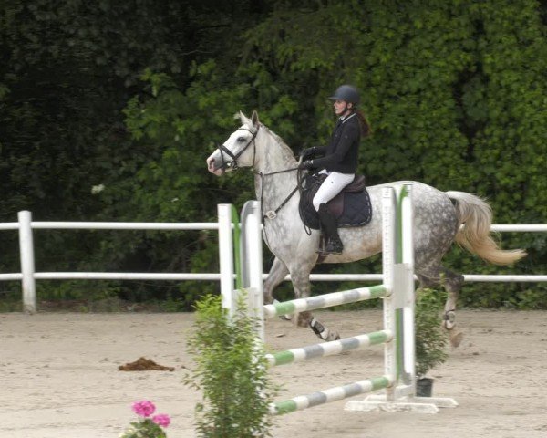 Reitturnier Losheim am See 2024