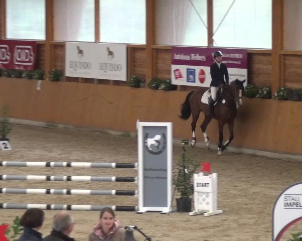 Springturnier Xanten - Reitanlage Miss 2021