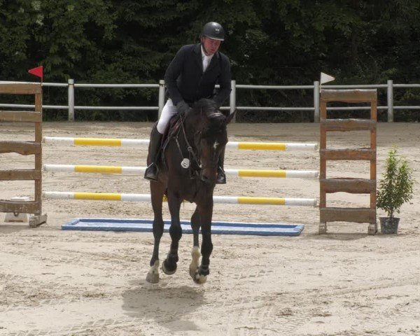 Reitturnier Losheim am See 2024
