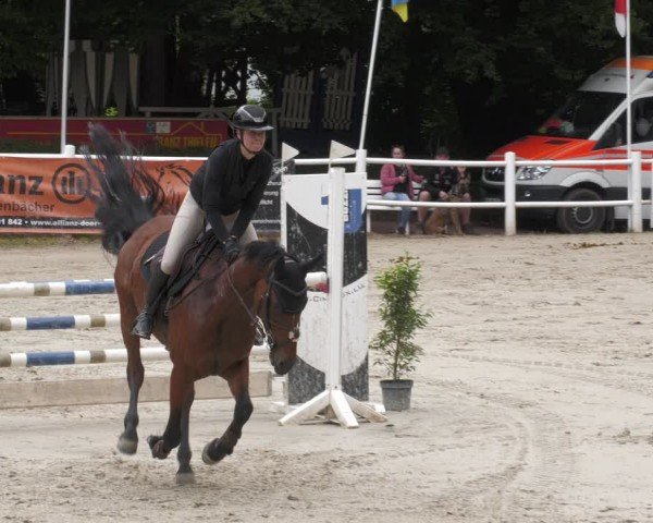 Reitturnier Losheim am See 2024