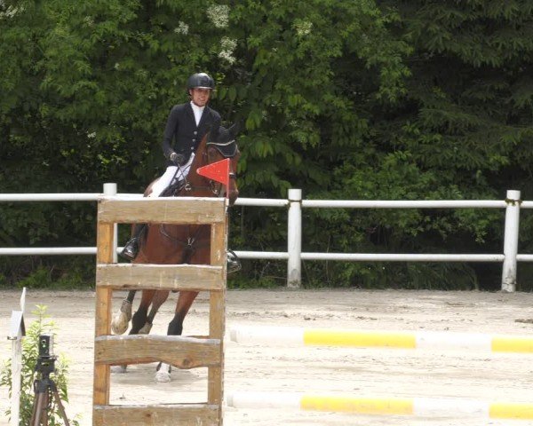 Reitturnier Losheim am See 2024
