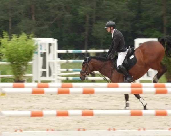 Reitturnier Nordstetten- Horb 2024