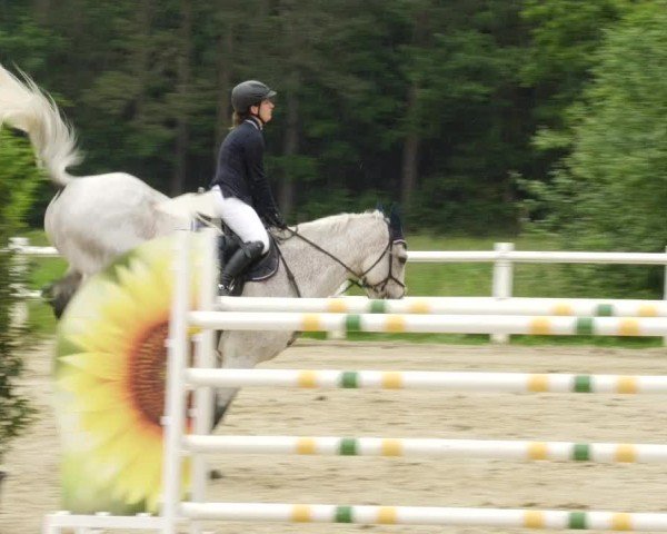 Reitturnier Nordstetten- Horb 2024