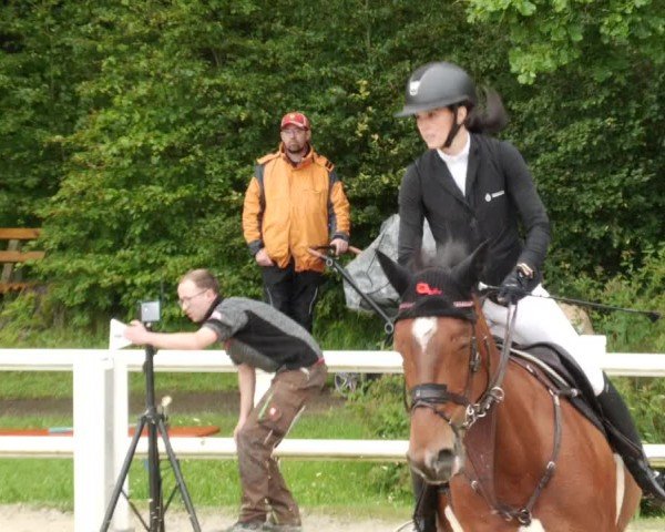 Reitturnier Nordstetten- Horb 2024