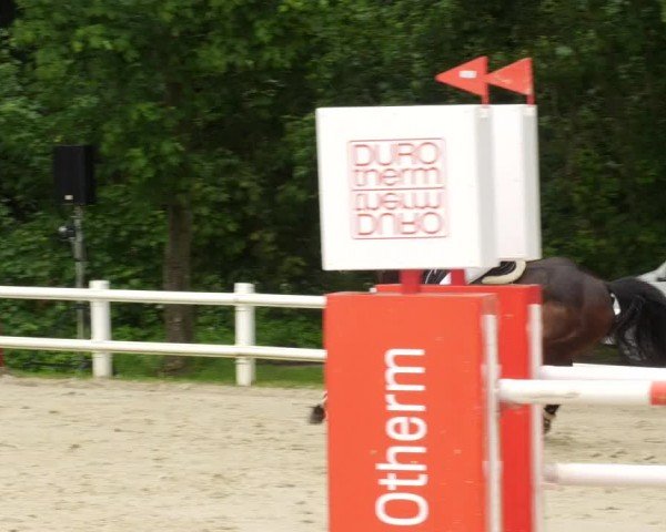 Reitturnier Nordstetten- Horb 2024