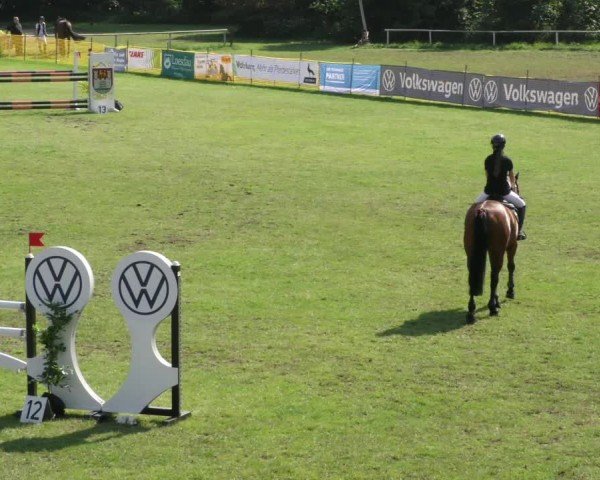 Reitturnier Wolfsburger Klassiker 2024